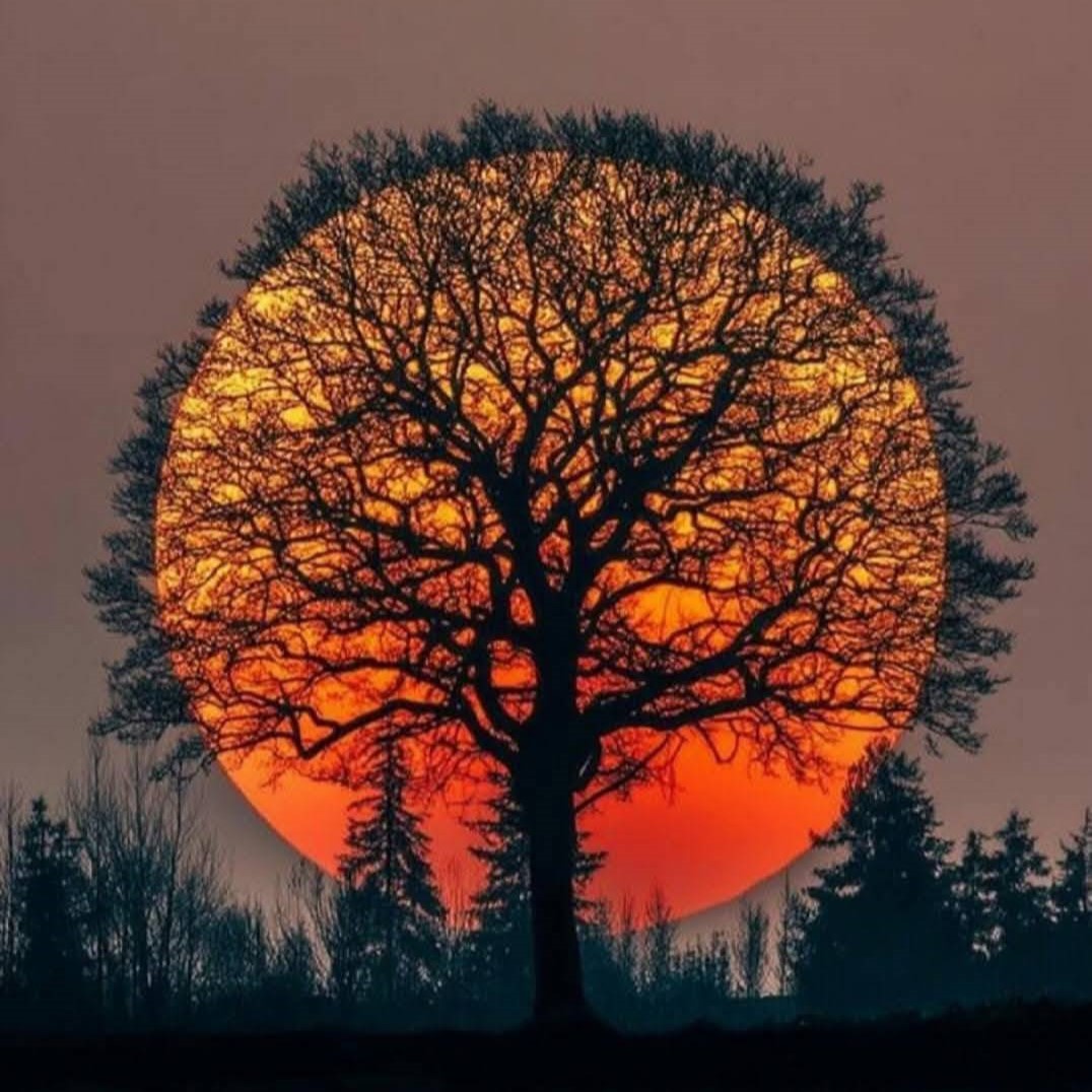 Como evocar Daemons da Goétia no Sistema Pathworking Como evocar Daemons da Goétia no Sistema Pathworking